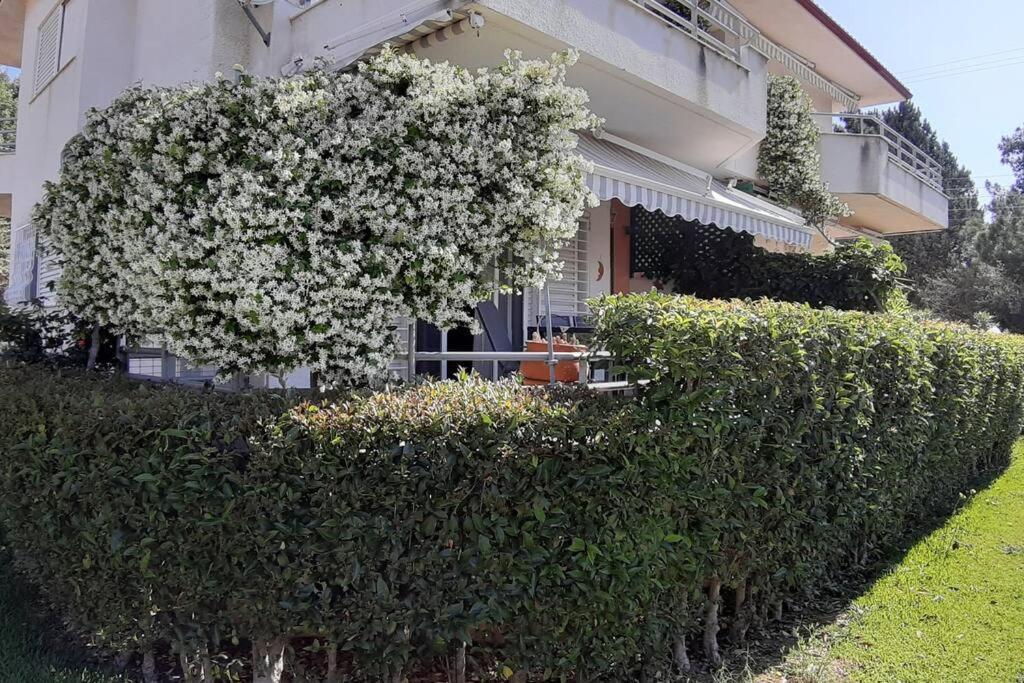 Villa Kleo House Kalives Polygyros Halkidiki Kalyves Polygyrou Exterior foto