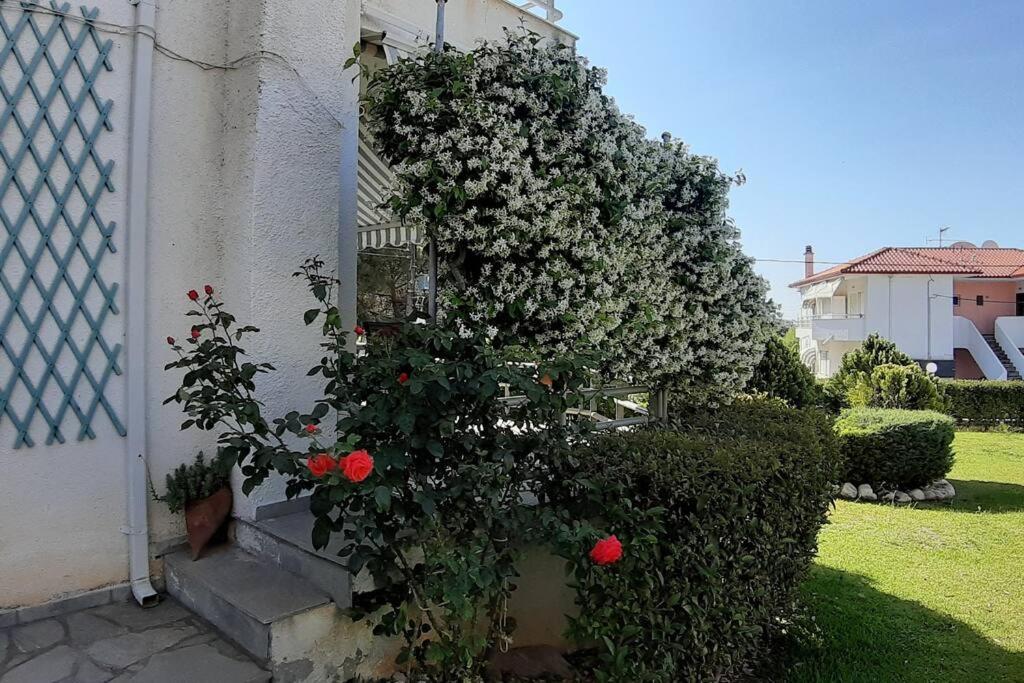 Villa Kleo House Kalives Polygyros Halkidiki Kalyves Polygyrou Exterior foto